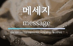 메세지 뜻: 문예 작품이 담고 있는 교훈이나 의도. ⇒규범 표기는 ‘메시지’이다.
