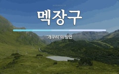멕장구 뜻: ‘개구리’의 방언