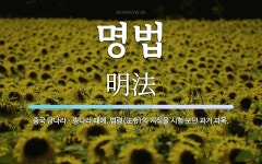 명법 뜻: 중국 당나라ㆍ송나라 때에, 법령(法令)의 지식을 시험 보던 과거 과목.