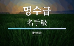 명수급 뜻: 명수의 급.