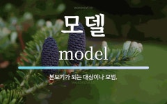 모델 뜻: 본보기가 되는 대상이나 모범.