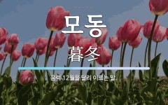 모동 뜻: 음력 12월을 달리 이르는 말.