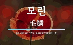 모린 뜻: 털과 비늘이라는 뜻으로, 짐승과 물고기를 이르는 말.