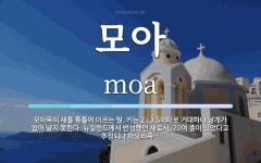 모아 뜻: 모아목의 새를 통틀어 이르는 말. 키는 2~3.5미터로 거대하나 날개가 없어 날지 못한다.