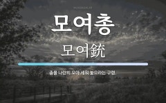 모여총 뜻: 총을 나란히 모아 세워 놓으라는 구령.