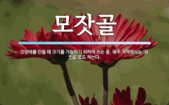 모잣골 뜻: 갓양태를 만들 때 크기를 가늠하기 위하여 쓰는 골. 제주 지역에서는 ‘모\uf209골’로도