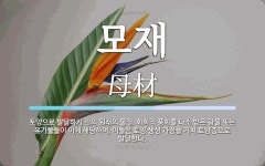 모재 뜻: 토양으로 발달하기 전의 원래의 물질. 화학적 풍화를 다소 받은 광물 또는 유기물들이 이에 모재 뜻: 토양으로... 