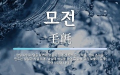 모전 뜻: 양털 따위의 털을 표면에 보풀이 일게 짠 두꺼운 모직물. 천의 조직을 만드는 날실과 씨실 모전 뜻: 양털 따위의 털을 표면에... 