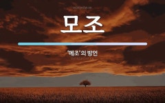 모조 뜻: ‘메조’의 방언