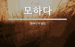 모하다 뜻: ‘못하다’의 방언