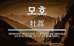 모호 뜻: 국화과에 속하는 제비쑥의 생약명. 전초를 약용하며 청열, 살충에 효능이 있어 감기로 인한 모호 뜻: 국화과에... 