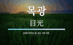목광 뜻: 눈에서 비치는 빛. 또는 그런 기운.