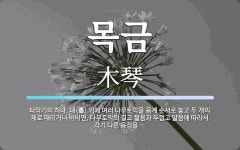 목금 뜻: 타악기의 하나. 대(臺) 위에 여러 나무토막을 음계 순서로 놓고 두 개의 채로 때리거나 비