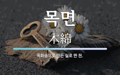 목면 뜻: 목화솜으로 만든 실로 짠 천.