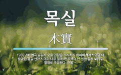 목실 뜻: 1959년에 칠곡 송림사 오층 전탑을 수리하기 위하여 해체하였을 때 발굴된 통일 신라 시대