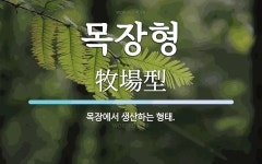 목장형 뜻: 목장에서 생산하는 형태.