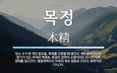 목정 뜻: 탄소 수가 한 개인 알코올. 목재를 건류할 때 생긴다. 에탄올과 비슷한 향기가 있는 무색의