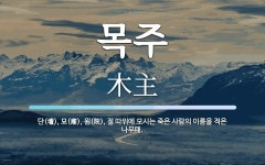 목주 뜻: 단(壇), 묘(廟), 원(院), 절 따위에 모시는 죽은 사람의 이름을 적은 나무패.