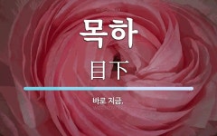 목하 뜻: 바로 지금.