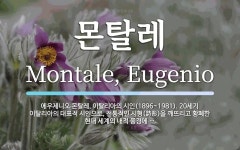 몬탈레 뜻: 에우제니오 몬탈레, 이탈리아의 시인(1896~1981). 20세기 이탈리아의 대표적 시인으
