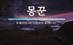 몽꾼 뜻: 몽니를 부리는 사람. ⇒규범 표기는 ‘몽니쟁이’이다.
