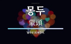 몽두 뜻: ‘몽두두’의 북한어.