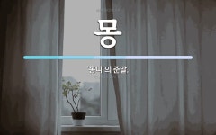몽 뜻: ‘몽니’의 준말.