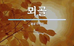 뫼골 뜻: ‘몰골’의 방언
