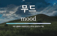 무드 뜻: 어떤 상황에서 대체적으로 느껴지는 분위기나 기분.