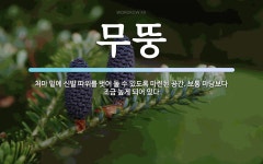 무뚱 뜻: 처마 밑에 신발 따위를 벗어 둘 수 있도록 마련된 공간. 보통 마당보다 조금 높게 되어 있