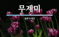 무제미 뜻: ‘굴레’의 방언