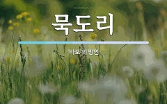 묵도리 뜻: ‘바보’의 방언