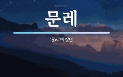 문레 뜻: ‘문리’의 방언