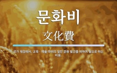 문화비 뜻: 국가 재정에서, 교육ㆍ예술 따위의 일반 문화 발전을 위하여 필요로 하는 비용.