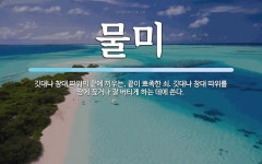 물미 뜻: 깃대나 창대 따위의 끝에 끼우는, 끝이 뾰족한 쇠. 깃대나 창대 따위를 땅에 꽂거나 잘 버