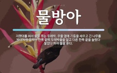 물방아 뜻: 지렛대를 써서 물을 푸는 두레박. 우물 옆에 기둥을 세우고 긴 나무를 방아처럼 걸치어 한쪽