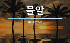 물알 뜻: ‘물아래’의 방언