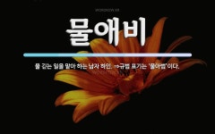 물애비 뜻: 물 긷는 일을 맡아 하는 남자 하인. ⇒규범 표기는 ‘물아범’이다.