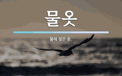물옷 뜻: 물에 젖은 옷.