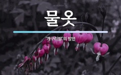 물옷 뜻: ‘개구리밥’의 방언