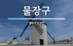 물장구 뜻: ‘물방개’의 방언
