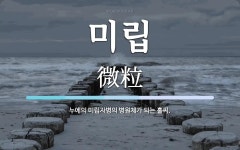 미립 뜻: 누에의 미립자병의 병원체가 되는 홀씨.