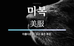 미복 뜻: 아름다운 옷. 또는 좋은 복장.