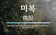 미복 뜻: 지위가 높은 사람이 무엇을 몰래 살피러 다닐 때에 남의 눈을 피하려고 입는 남루한 옷차림.