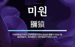 미원 뜻: 구세계원숭잇과와 신세계원숭잇과의 짐승을 통틀어 이르는 말. 늘보원숭이, 개코원숭이, 대만원