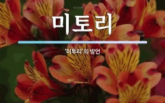 주식회사 미토리 지점 | 미토리 뜻: ‘미투리’의 방언