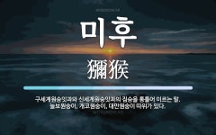 미후 뜻: 구세계원숭잇과와 신세계원숭잇과의 짐승을 통틀어 이르는 말. 늘보원숭이, 개코원숭이, 대만원