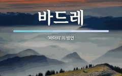 바드레 뜻: ‘바더리’의 방언