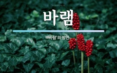 바램 뜻: ‘바람’의 방언