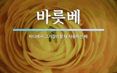 바릇베 뜻: 바다에서 고기잡이할 때 사용하는 배